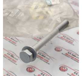 VITE TRAVERSA POSTERIORE...