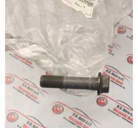 VITE DISTRIBUZIONE...