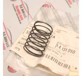 MOLLA ALBERO CAMBIO...