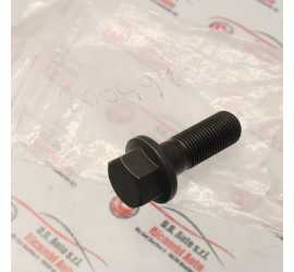 BULLONE PULEGGIA ALBERO...