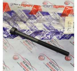 VITE TESTA CILINDRI...