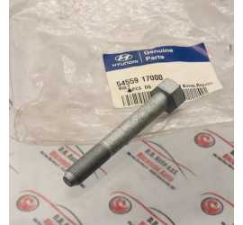 BULLONE BRACCIO OSCILLANTE...