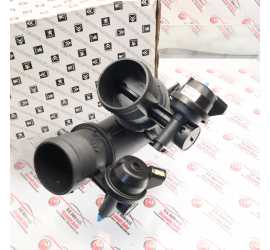 CORPO FARFALLATO CITROEN...