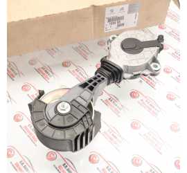 TENDICINGHIA CITROEN...