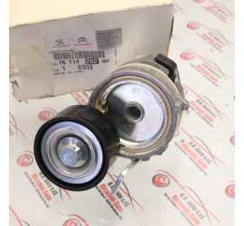 TENDICINGHIA CITROEN...