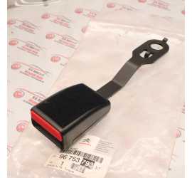 RAMO CINTURA CITROEN...