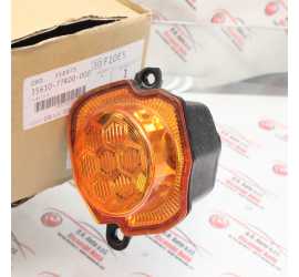 FANALE FRECCIA ANTERIORE...