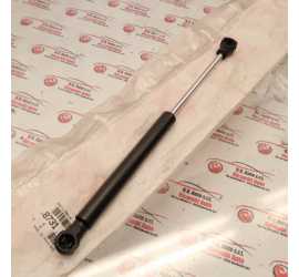 PUNTELLO PORTELLONE CITROEN...