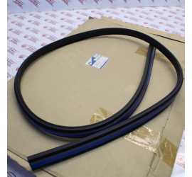 GUARNIZIONE LATO TETTO FORD...