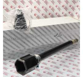 SEMIALBERO DESTRO...