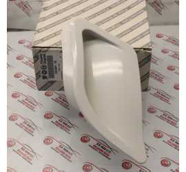 MOSTRINA DX PARAURTI ANT....