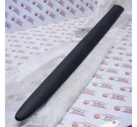 MODANATURA PORTA ANTERIORE...