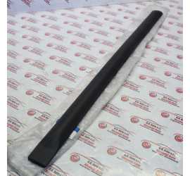 MODANATURA PORTA POSTERIORE...