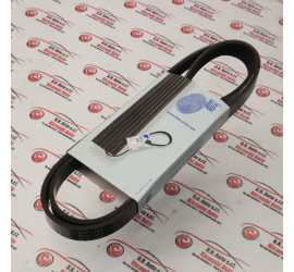 CINGHIA POLI-V PER...