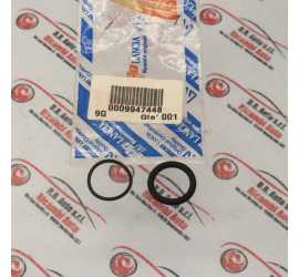KIT GUARNIZIONI O-RING...