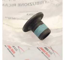 VITE ALBERO CAMBIO...