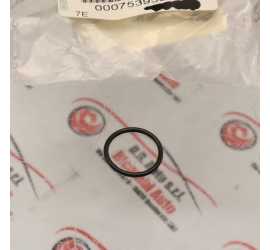 GUARNIZIONE O-RING ALBERO...