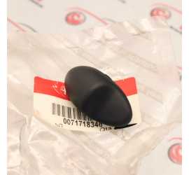 PULSANTE DESTRO CAPPELLIERA...