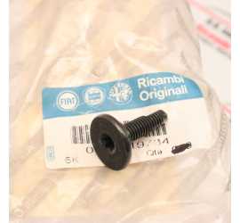 VITE FISSAGGIO PARAURTI...