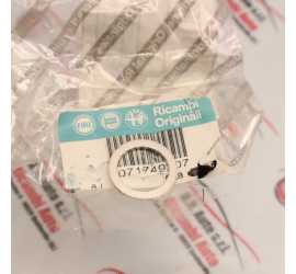 RONDELLA IMPIANTO...