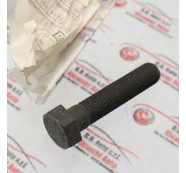 BULLONE ALBERO MOTORE FIAT...