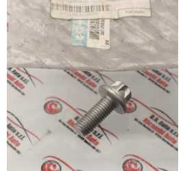 VITE ALTERNATORE M12X30...