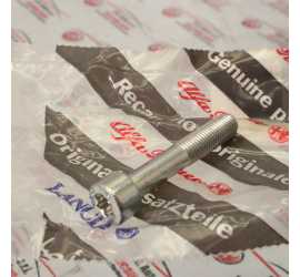 VITE DISTRIBUZIONE...