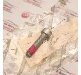 VITE ALBERO TRASMISSIONE...