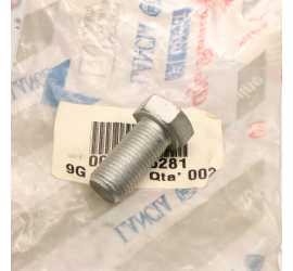 VITE M12X25 PIASTRA CRIC...