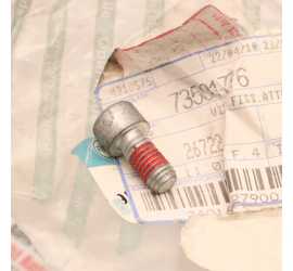 VITE ATTUATORE SELESPEED...