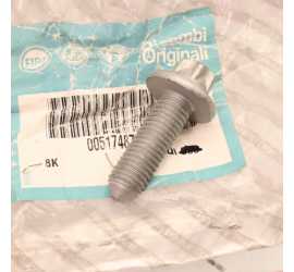 VITE SOSPENSIONE POSTERIORE...