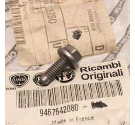 VITE 6X100-16 FIAT...