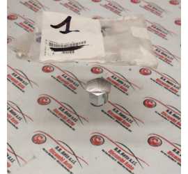 COPRIBULLONE RUOTA CITROEN...