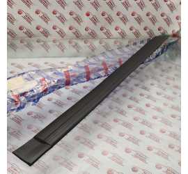 MODANATURA PORTA POST. DX...