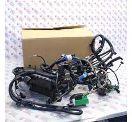 CABLAGGIO MOTORE FORD FOCUS...