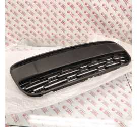 GRIGLIA CENTRALE PARAURTI...