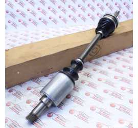 SEMIASSE ANTERIORE SX...