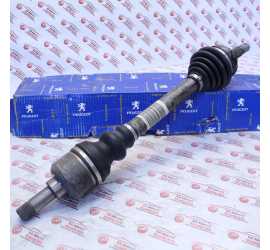 SEMIASSE ANTERIORE SX...