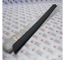 MODANATURA POSTERIORE SX...