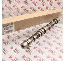 ALBERO A CAMME DESTRO...