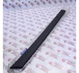 MODANATURA PORTA POST. DX...