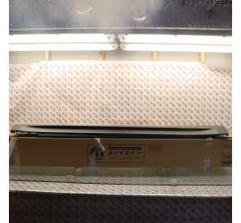 MINIGONNA DESTRA ALFA...