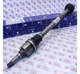 SEMIASSE ANTERIORE DX...