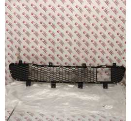 GRIGLIA PARAURTI ANTERIORE...