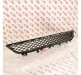 GRIGLIA CENTRALE PARAURTI...