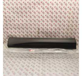 MODANATURA PORTA ANT. DX...