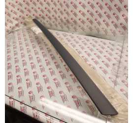 MODANATURA PORTA SINISTRA...