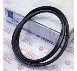 GUARNIZIONE PROIETTORE...