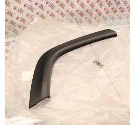 MODANATURA RUOTA POST DX...