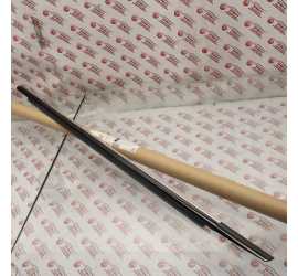 RASCHIAVETRO ANT. SX...